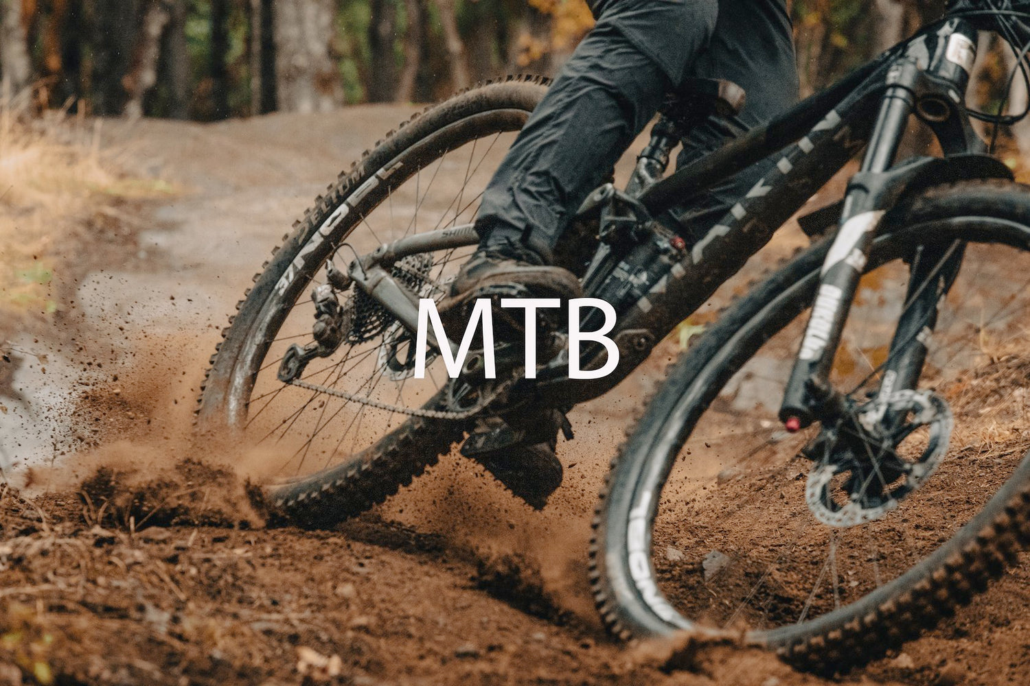 Mountain Bike Tires