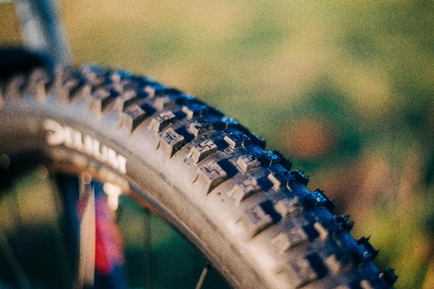 Delium Adventure Steady MTB Mountain Bike Tire