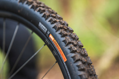 MTB Radial Tires